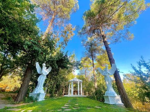 عکس تشریفات مجالس مرادی