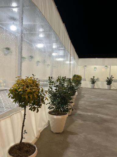 عکس باغ رستوران هیوا 