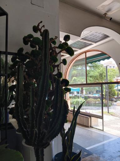 عکس مرکز خرید سئول