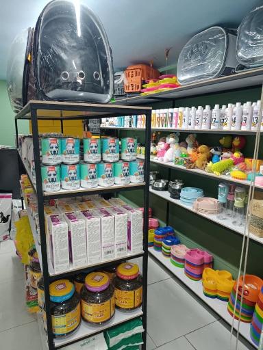 پت شاپ حامی