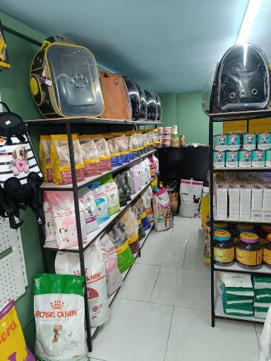 عکس پت شاپ حامی