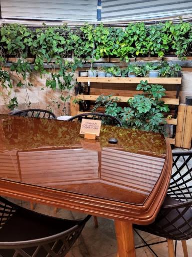 عکس مجموعه فرهنگی تفریحی نهال