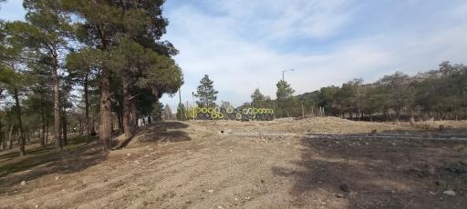 عکس بوستان چیتگر