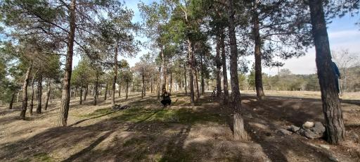 عکس بوستان چیتگر