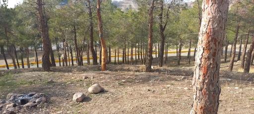 عکس بوستان چیتگر