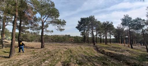 عکس بوستان چیتگر