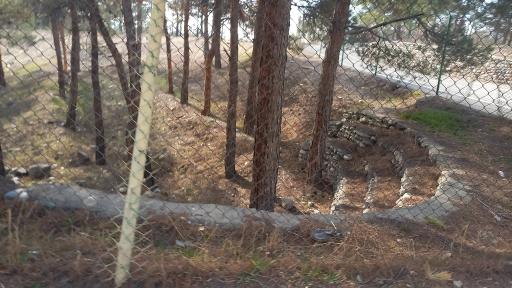 عکس بوستان چیتگر