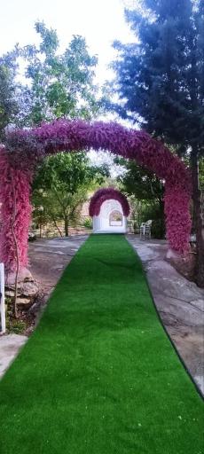 عکس باغ تالار زیتون