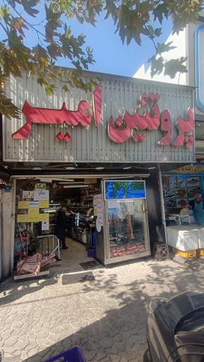 عکس پروتئین امیر