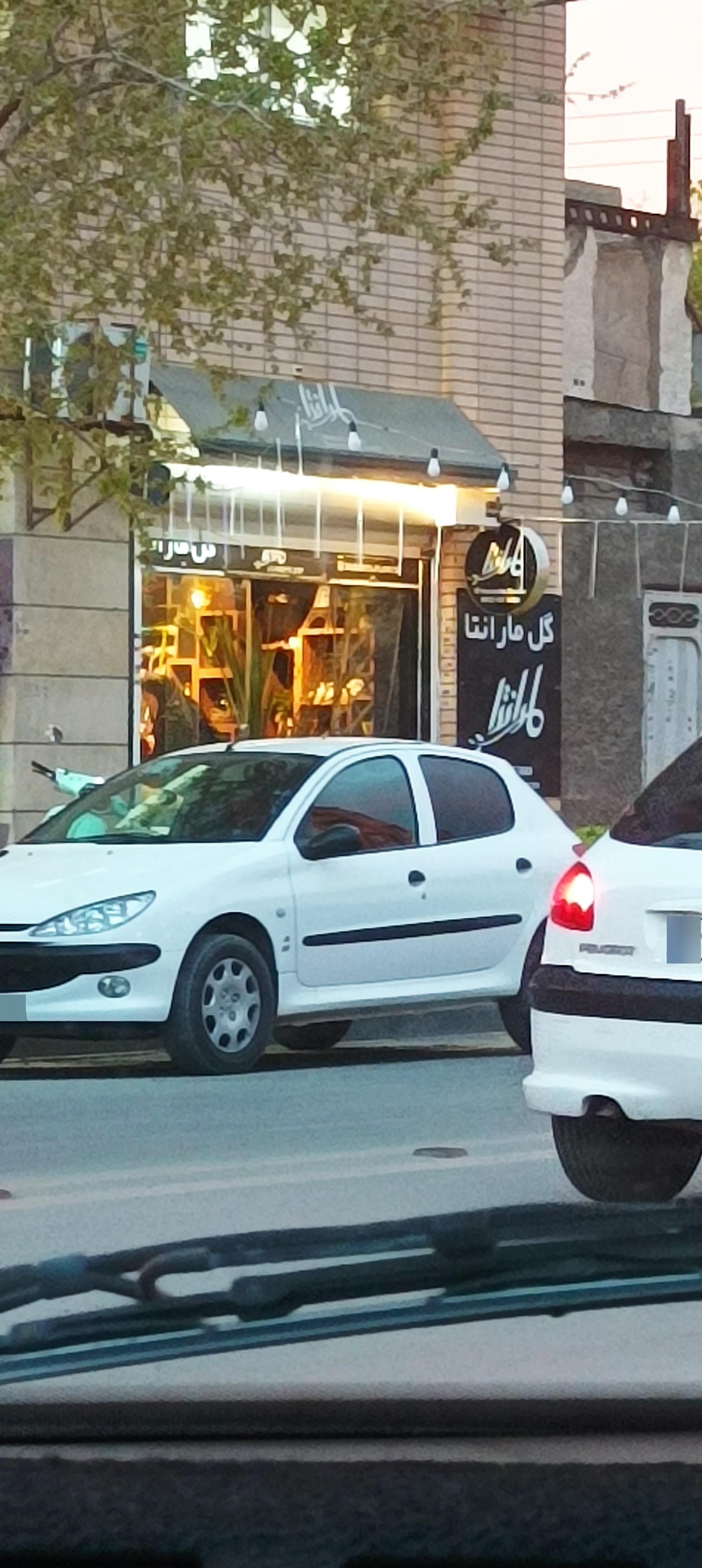 عکس گل مارانتا