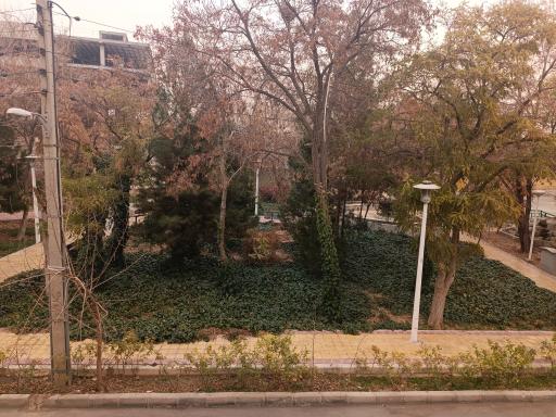 عکس بوستان ابوریحان