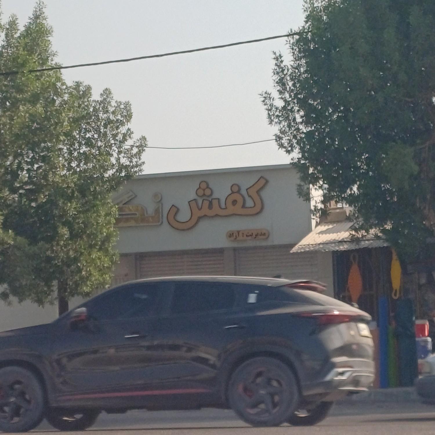 عکس کفش نگار
