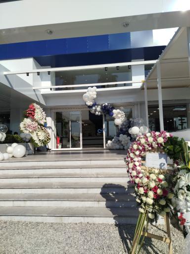 عکس شیرینی لیلی تنکابن