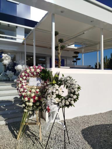 عکس شیرینی لیلی تنکابن