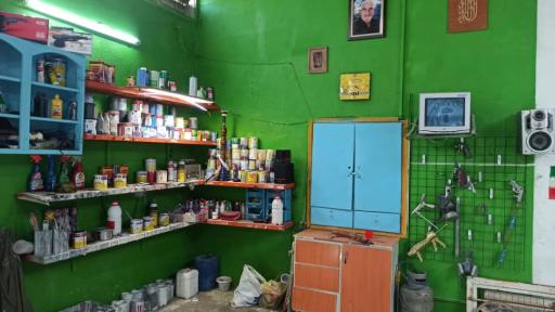 عکس صافکاری و نقاشی برادران احمد زاده