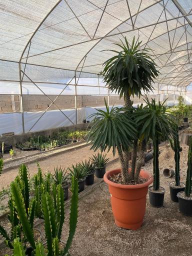 عکس گلسرای طبیعت