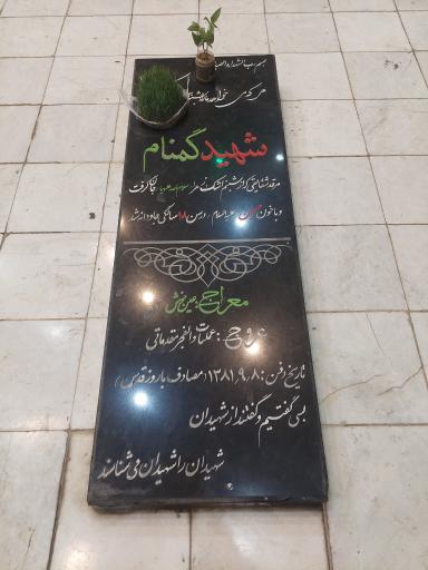 عکس گلستان شهدای گمنام