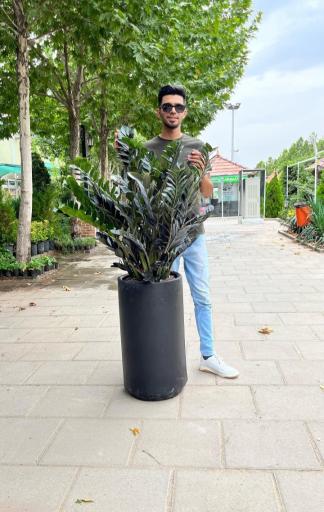 عکس گل و گیاه علی‌رهنما