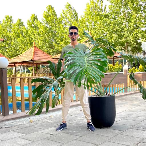 عکس گل و گیاه علی‌رهنما