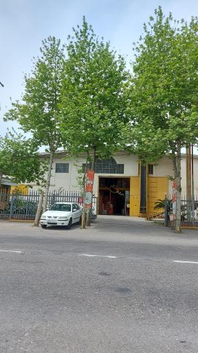 عکس تولیدی برنج همتی