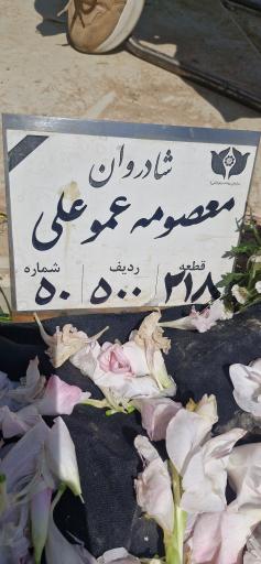 عکس مزار معصومه عموعلی دلیوند