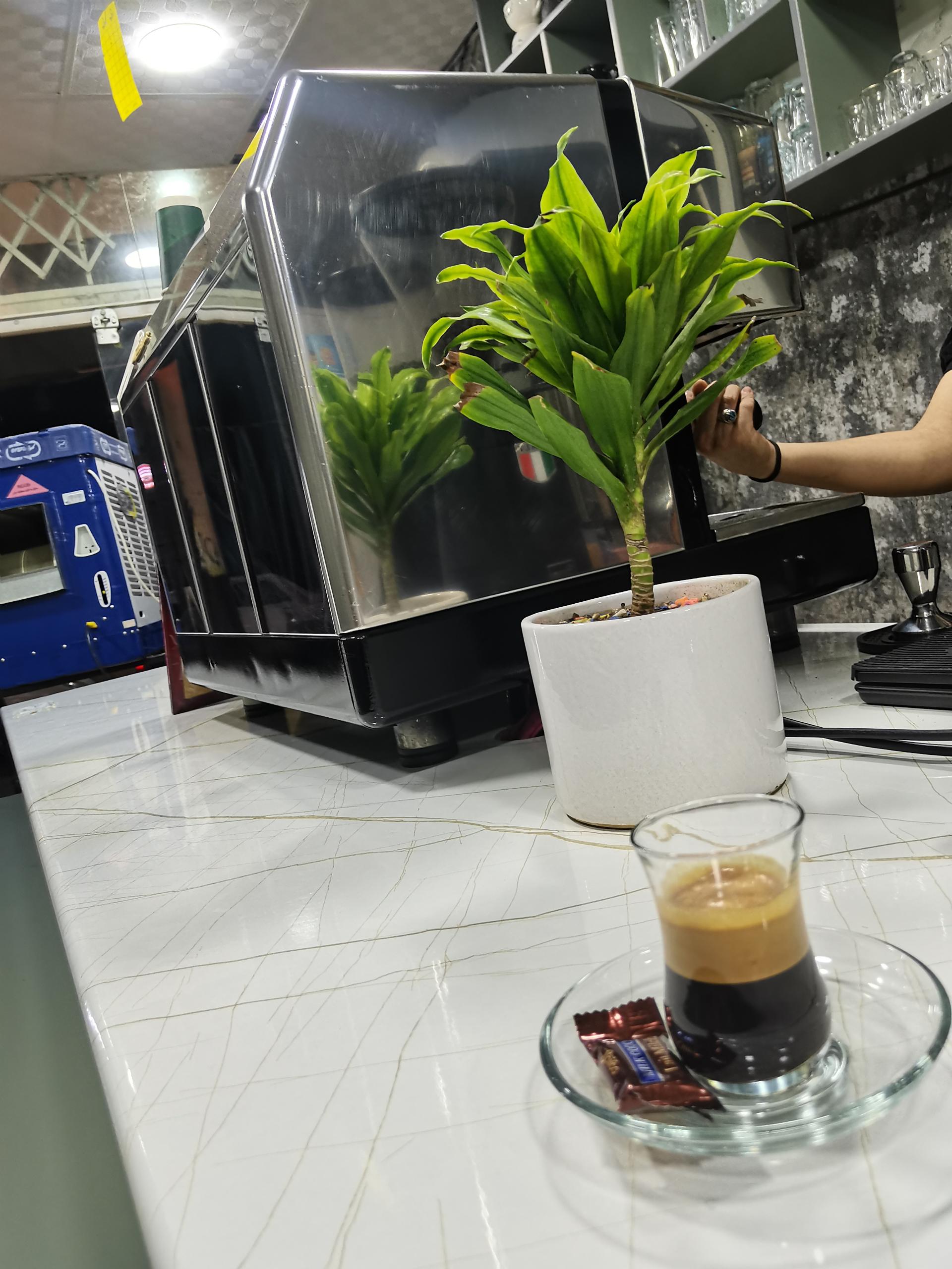 عکس کافه مون