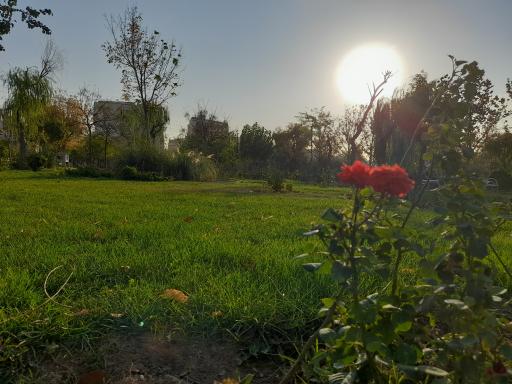 عکس بوستان اشرفی اصفهانی