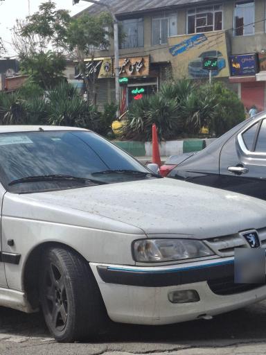 عکس عکاسی متین