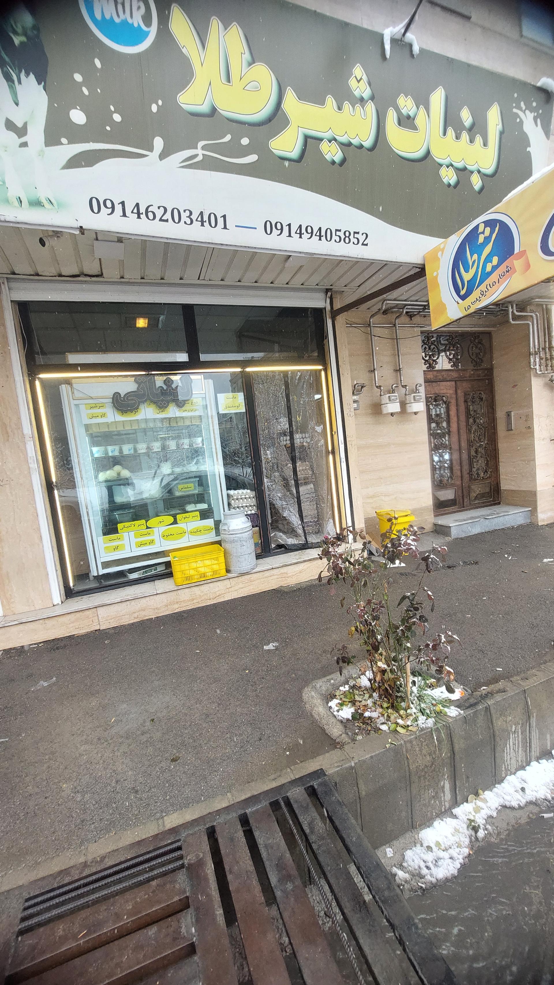 عکس لبنیاتی شیر طلا