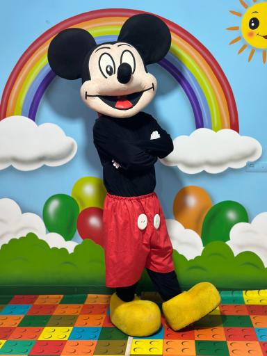 عکس بادکنک آرایی کرج و اجاره انواع تنپوش های عروسکی