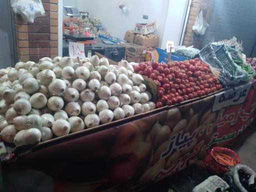 عکس میوه سرا
