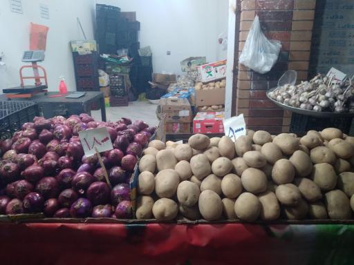 عکس میوه سرا