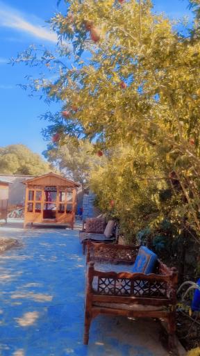 عکس باغچه رستوران پدر سالار