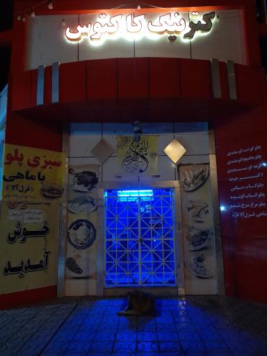 عکس کترینگ کاکتوس