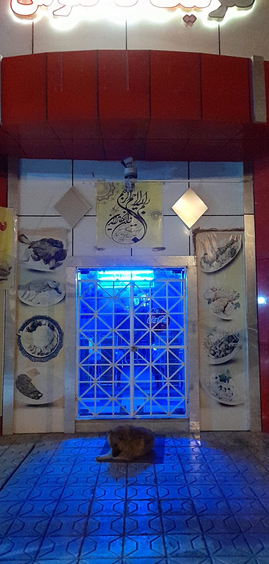 عکس کترینگ کاکتوس