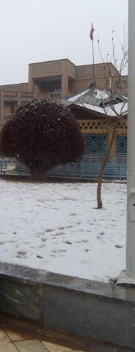 عکس جامعه الزهراء خواهران