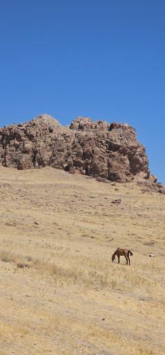 عکس عمودیزج