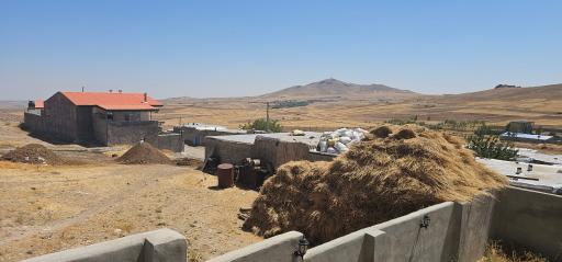 عکس عمودیزج