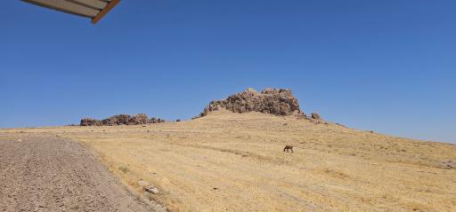 عکس عمودیزج