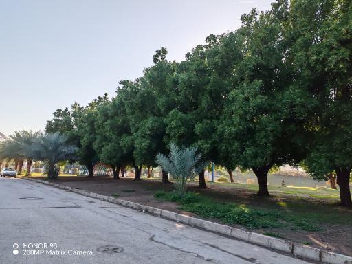 بوستان نیرو