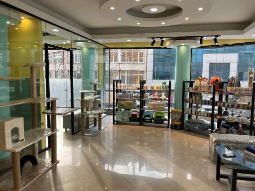 عکس کلینیک دامپزشکی میلوی 