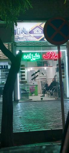 املاک علیزاده 