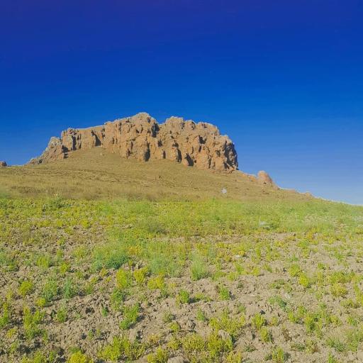 عکس عمودیزج