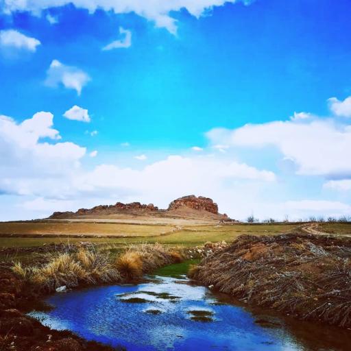 عکس عمودیزج