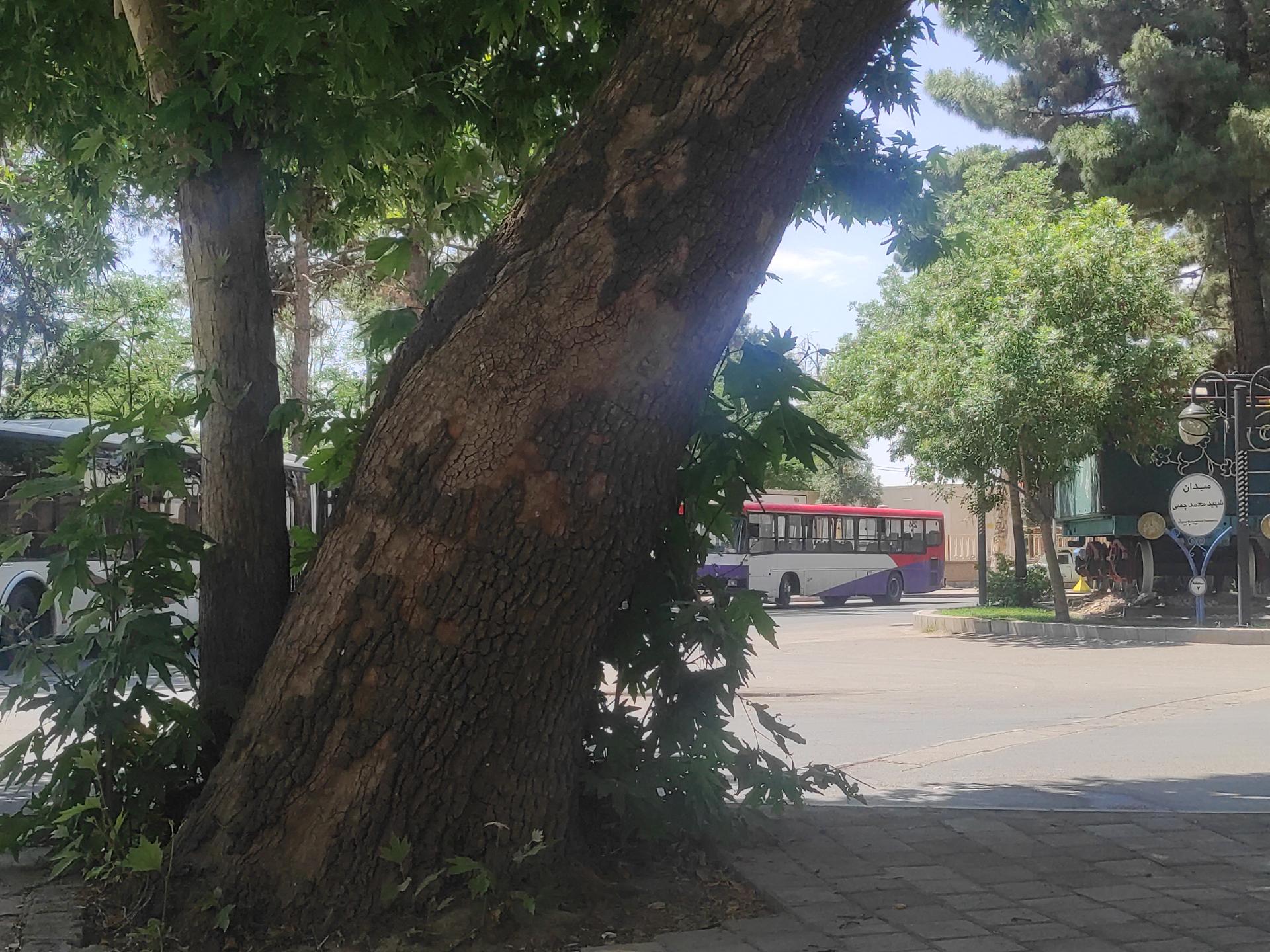 عکس پارک راه آهن