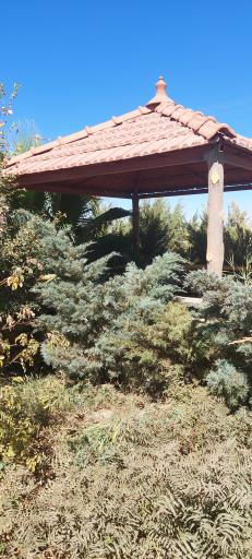 عکس محل استراحت خواهران