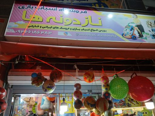 عکس فروشگاه اسباب بازی نازدونه ها