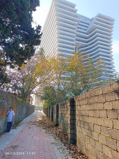 عکس برج آفرینش رامسر