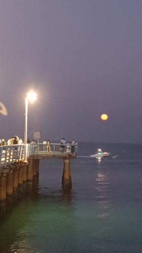 عکس اسکله بزرگ تفریحی کیش