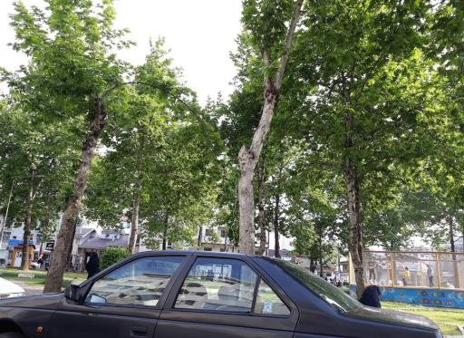 عکس بوستان بهار